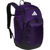 Team Collegiate Purple