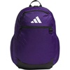 Collegiate Purple