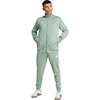Silver Green/White