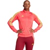 Pink/Semi Solar Yellow