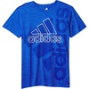 Team Royal Blue Heather