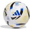White/Icey Blue/Glory Blue/Black/Argentina 25 League