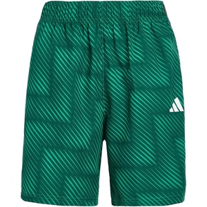 adidas Boys Elastic Waistband World Cup Soccer Short(Bold Green)