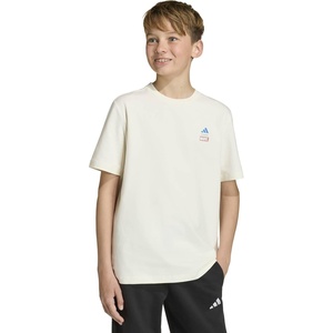 adidas Boys’ Marvel Spider-Man Graphics T-Shirt(Off White/Ray Blue/Avengers)