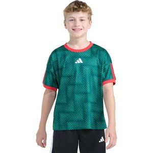 adidas Boys Short Sleeve World Cup Soccer Top(Bold Green)