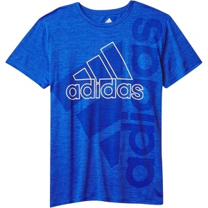 adidas Boys’ Stay Dry Climalite Short Sleeve T-Shirt(Team Royal Blue Heather)