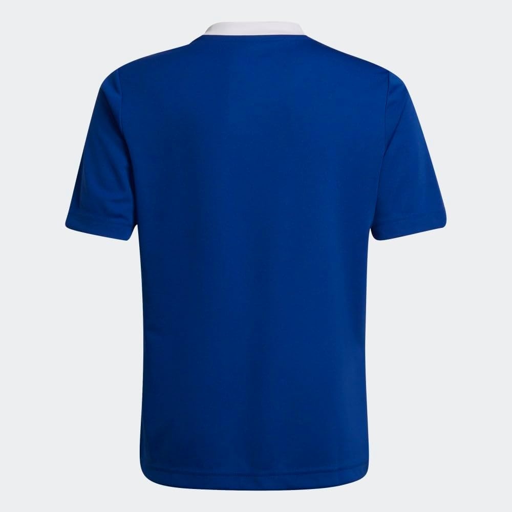 image:imageadidas Kids Entrada 22 JerseyTeam Royal Blue