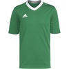 Team Green/White