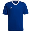 Team Royal Blue