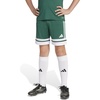 Team Dark Green/White