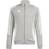 Team Mid Grey/White
