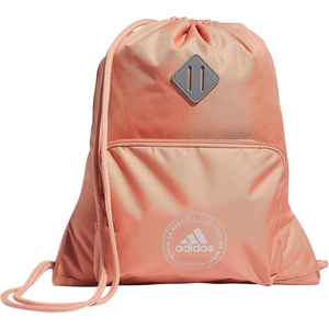 Classic 3S 2.0 Sackpack(Wonder Clay/Silver Metallic)