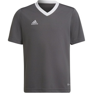 adidas Kids’ Entrada 22 Jersey(Grey)