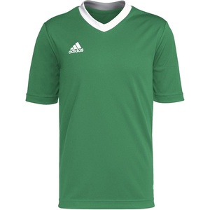 adidas Kids’ Entrada 22 Jersey(Team Green/White)
