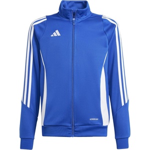 adidas boys Tiro 24 Training Jacket(Team Royal Blue/White)