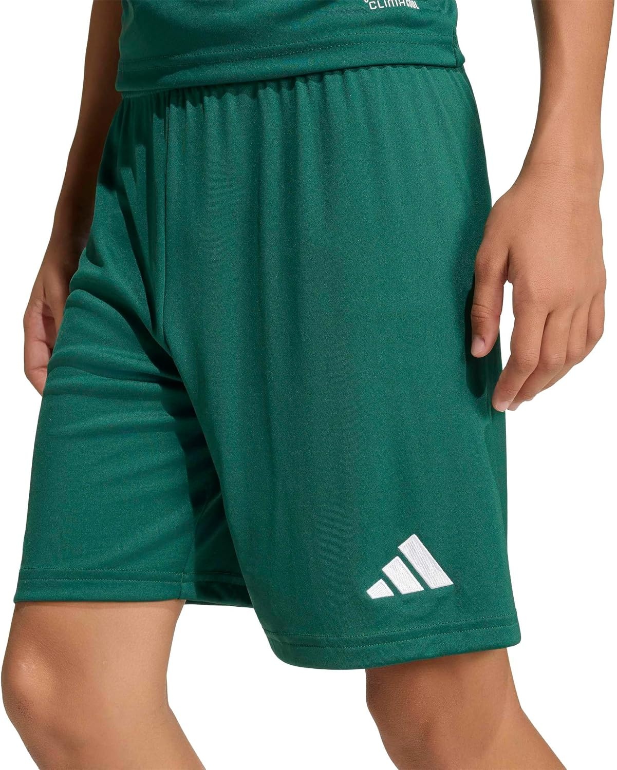 image:imageadidas UnisexKids Entrada 26 ShortsTeam Dark GreenWhite