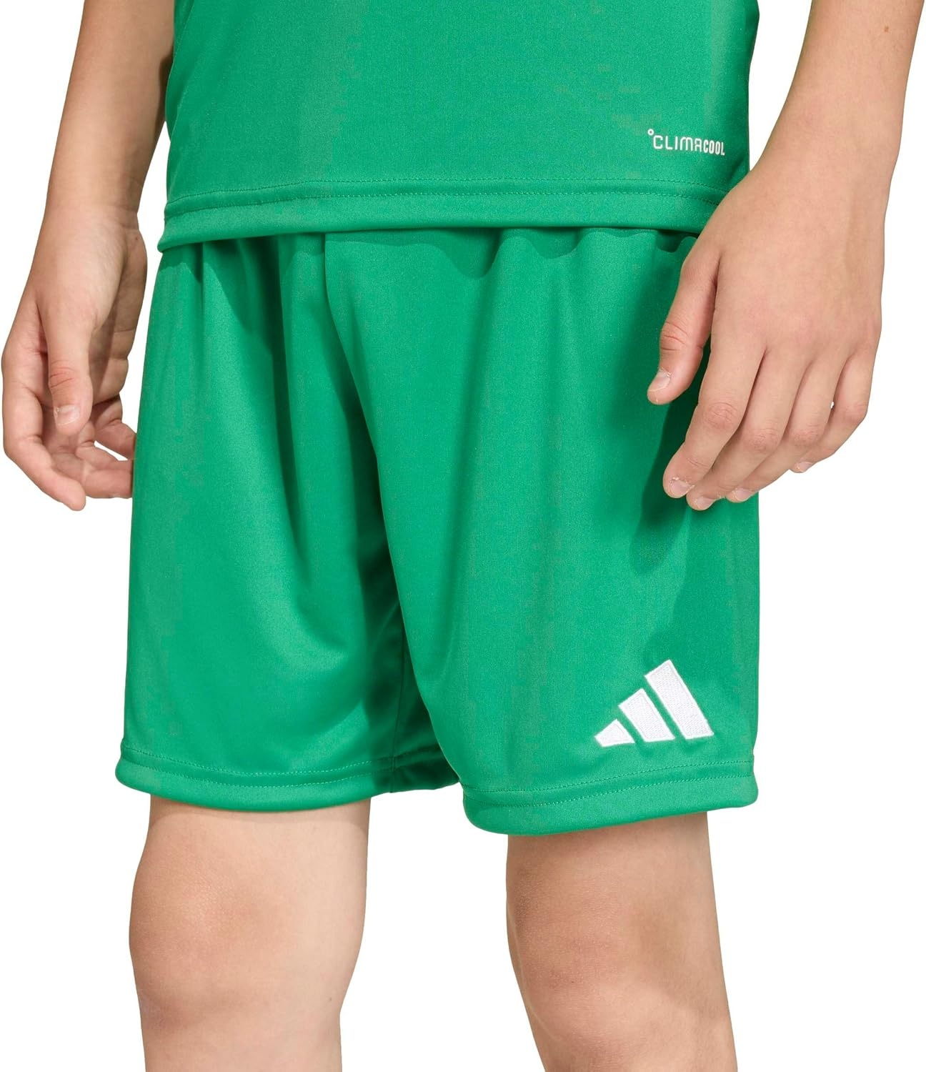 image:imageadidas UnisexKids Entrada 26 ShortsTeam GreenWhite