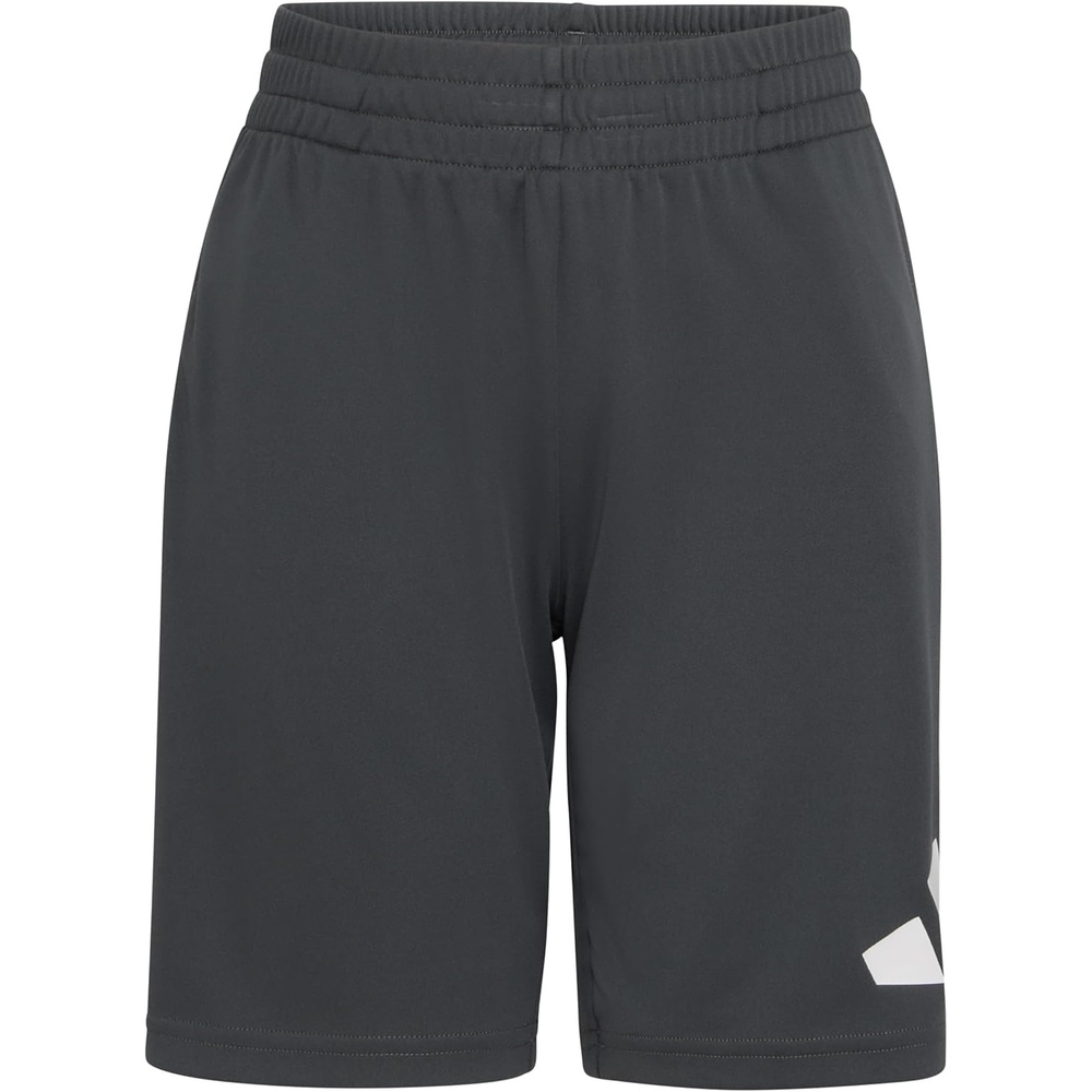 image:imageadidas Boys Essentials Big Logo Active ShortsGrey Six