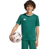 Team Dark Green/White