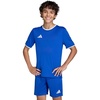 Team Royal Blue/White