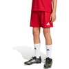 Team Power Red/White