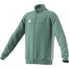 Silver Green/White