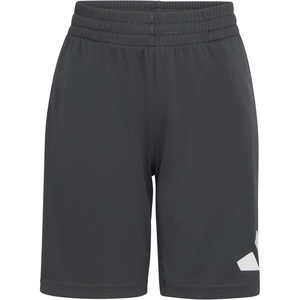 adidas Boys’ Essentials Big Logo Active Shorts(Grey Six)