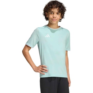 adidas Unisex-Kids Entrada 26 Jersey(Halo Mint/White)