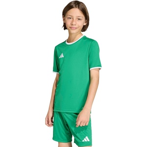 adidas Unisex-Kids Entrada 26 Jersey(Team Green/White)
