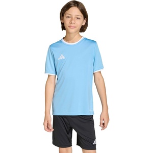 adidas Unisex-Kids Entrada 26 Jersey(Team Light Blue/White)
