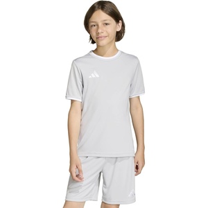 adidas Unisex-Kids Entrada 26 Jersey(Team Light Grey/White)