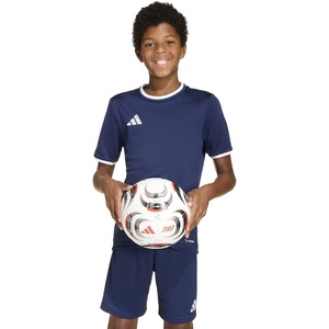 adidas Unisex-Kids Entrada 26 Jersey(Team Navy Blue/White)