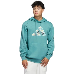 adidas Men’s Big Logo Graphic Hoodie(Powder Teal)