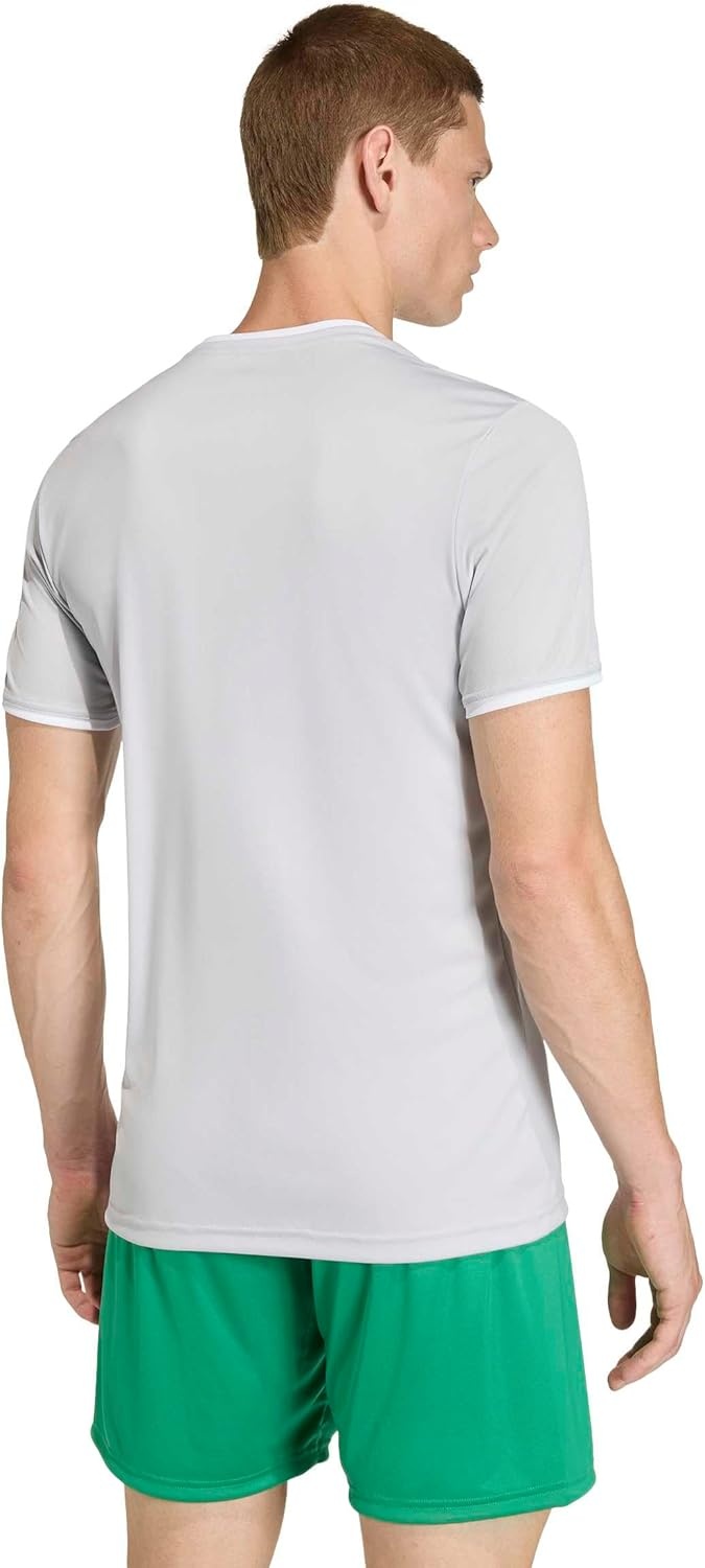 image:imageadidas Mens Entrada 26 JerseyTeam Light GreyWhite