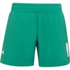 Semi Court Green