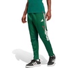 Dark Green/Collegiate Burgundy/White
