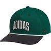 Collegiate Green/Off White/Black