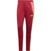 Team Collegiate Burgundy/Semi Solar Yellow