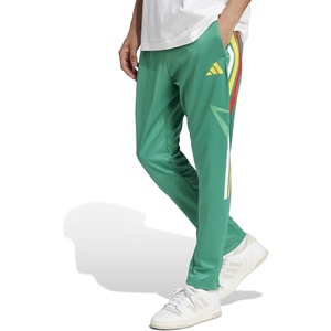 adidas Men’s House of Tiro Nations Pack Pants(Semi Court Green/Surf Green/Bold Gold)