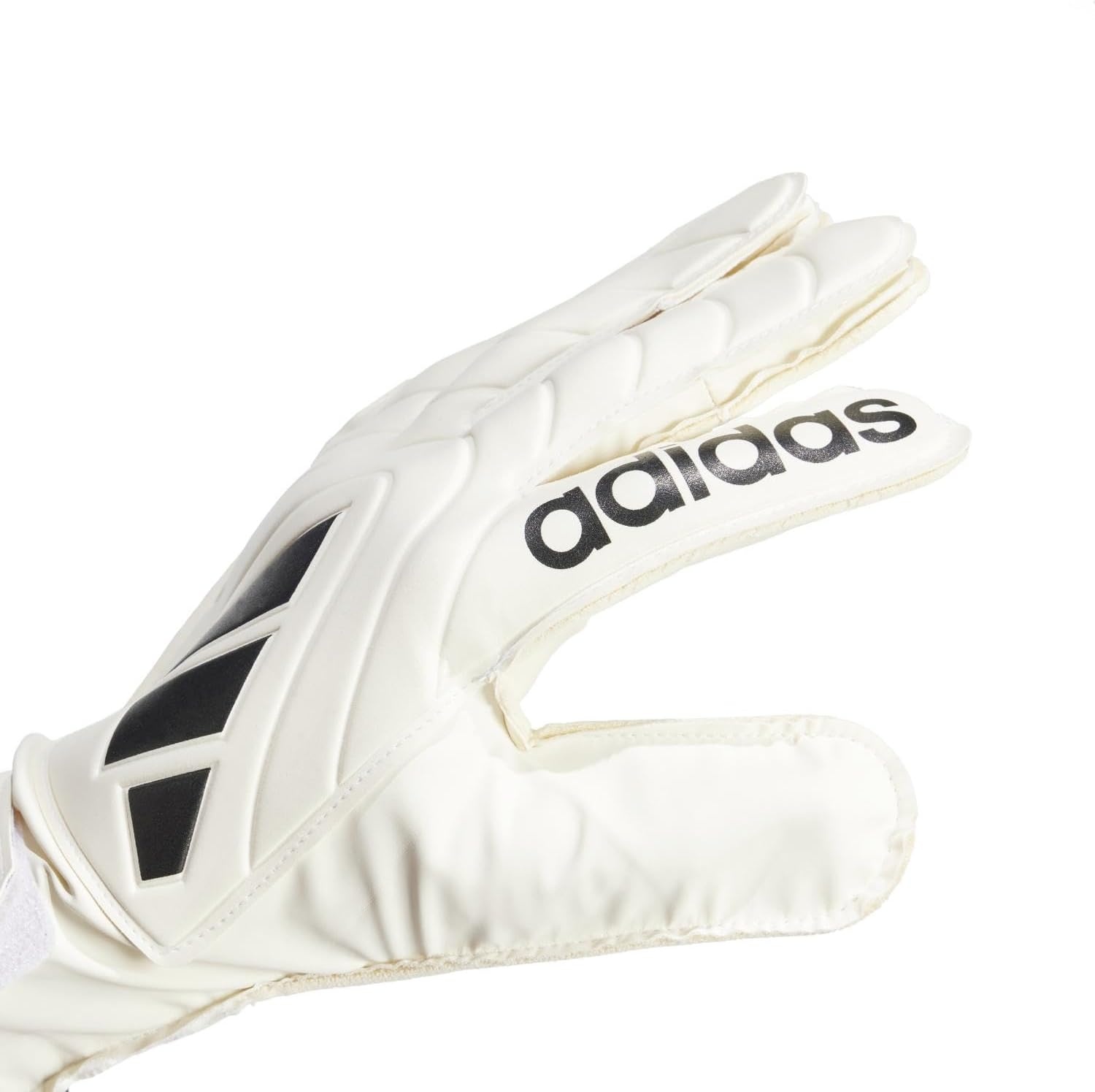 image:imageadidas UnisexAdult Copa Club Goalie Soccer GlovesIvoryBlack