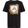 Black Home Plate