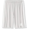 Team Light Grey/White