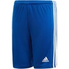 Team Royal Blue/White