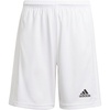 White/White(2021)