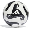White/Black(2023)