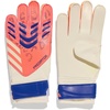 Signal Coral/White/Lucid Blue