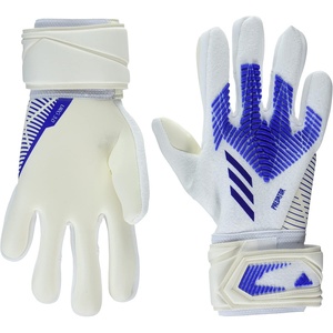 adidas Unisex-Adult League Goalie Predator Gloves(White/Blue)