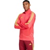 Core Pink/Semi Solar Yellow