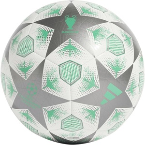 adidas Unisex-Adult UEFA Champions League Soccer Ball(Iron Metallic/White/Green)