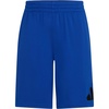 Team Royal Blue
